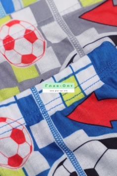 Трусы на мальчиков (боксеры) №ТД017-10 (205)