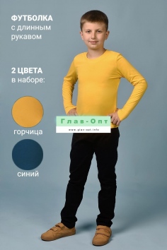 Футболка 11715 дл. рукав детская (набор 2 шт) - синий+горчичный №Н-117152