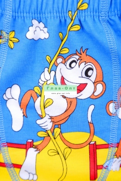 Трусы на мальчиков (боксеры) №W866 (123)