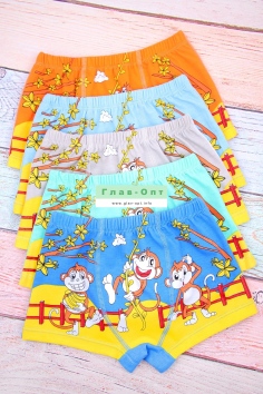 Трусы на мальчиков (боксеры) №W866 (123)