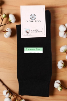 Носки мужские №М12-5 (19/106)