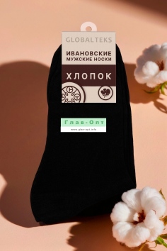 Носки мужские №В-03-2 (29/108)