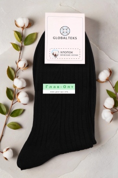 Носки мужские №Г20-3 (22/101)