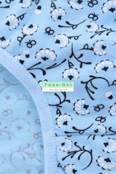 Трусы подростковые на девочек №П8492 (209)