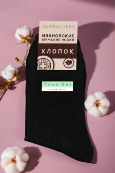 Носки мужские №НХ-01 (25/104)