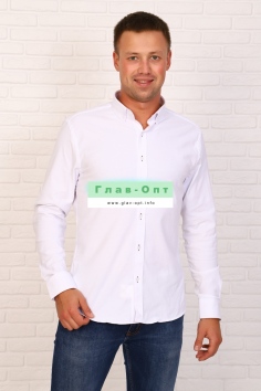 Рубашка (белый) №НТ-Р-17535-1 (4П/120)