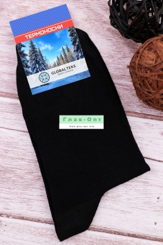 Носки мужские №В12-3 (21/101)