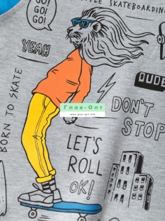 Толстовка на мальчика (3-7 лет) №ИБ-SH487-3 (17/422)