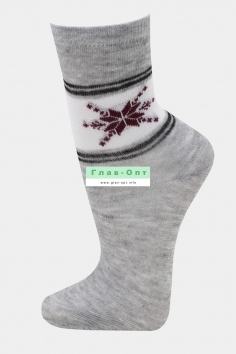 Носки женские №А218 (25/229)