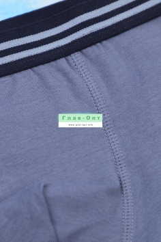 Трусы на мальчиков №ИНД-991000-0037BPJ (18м/420)