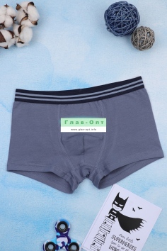 Трусы на мальчиков №ИНД-991000-0037BPJ (18м/420)